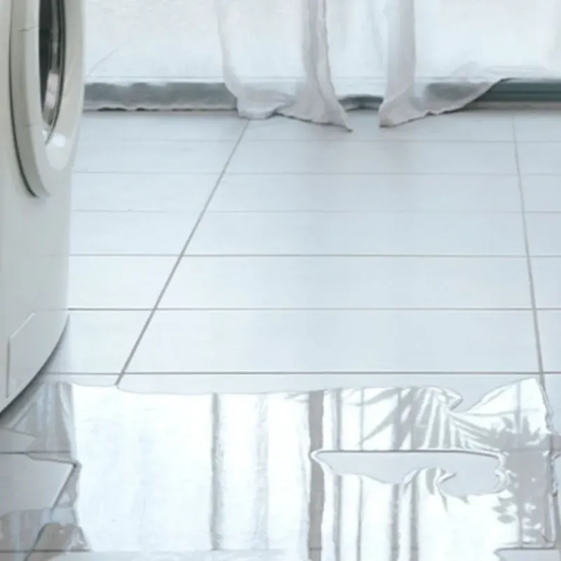 Appliance Leak Cleanup in Aztalan, WI
