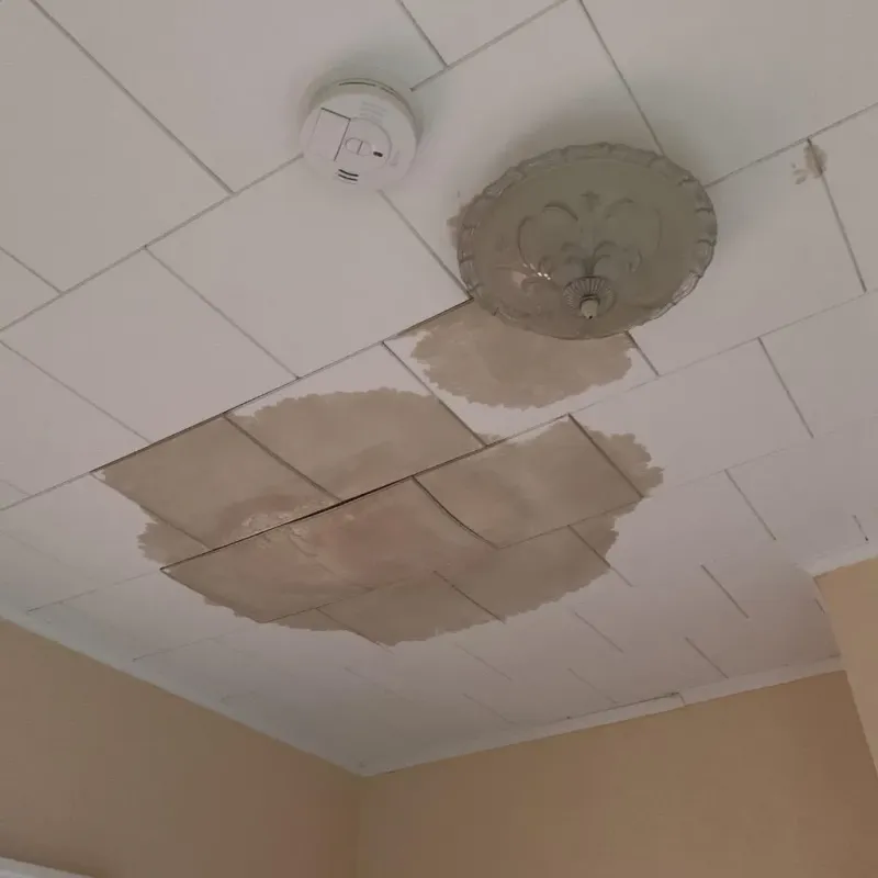 Ceiling Water Damage Repair in Aztalan, WI