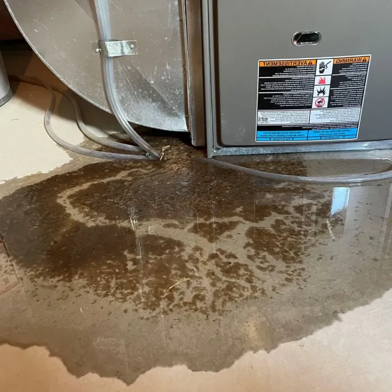 Pipe Burst and Leak Restoration in Aztalan, WI