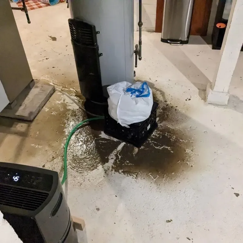 Sewage Backup Cleanup Service in Aztalan, WI